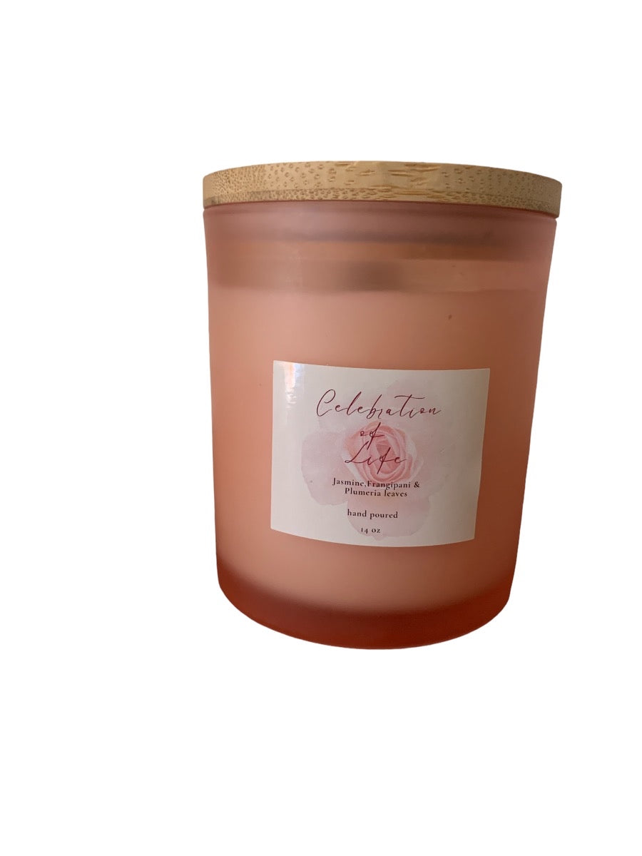 Add a touch of warmth and comfort to your home with our hand poured 14 oz Celebration of Light Fragranced Soy Candle. Made from all-natural soy wax and infused with a delightful woodsy scent, this candle provides you with up to 85 hours of burn time.
